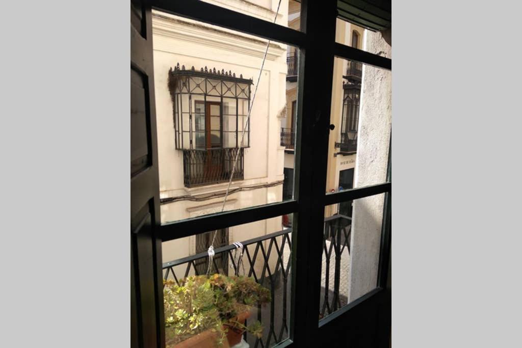 Apartamento Centro Encarnacion 1º D Σεβίλλη Εξωτερικό φωτογραφία